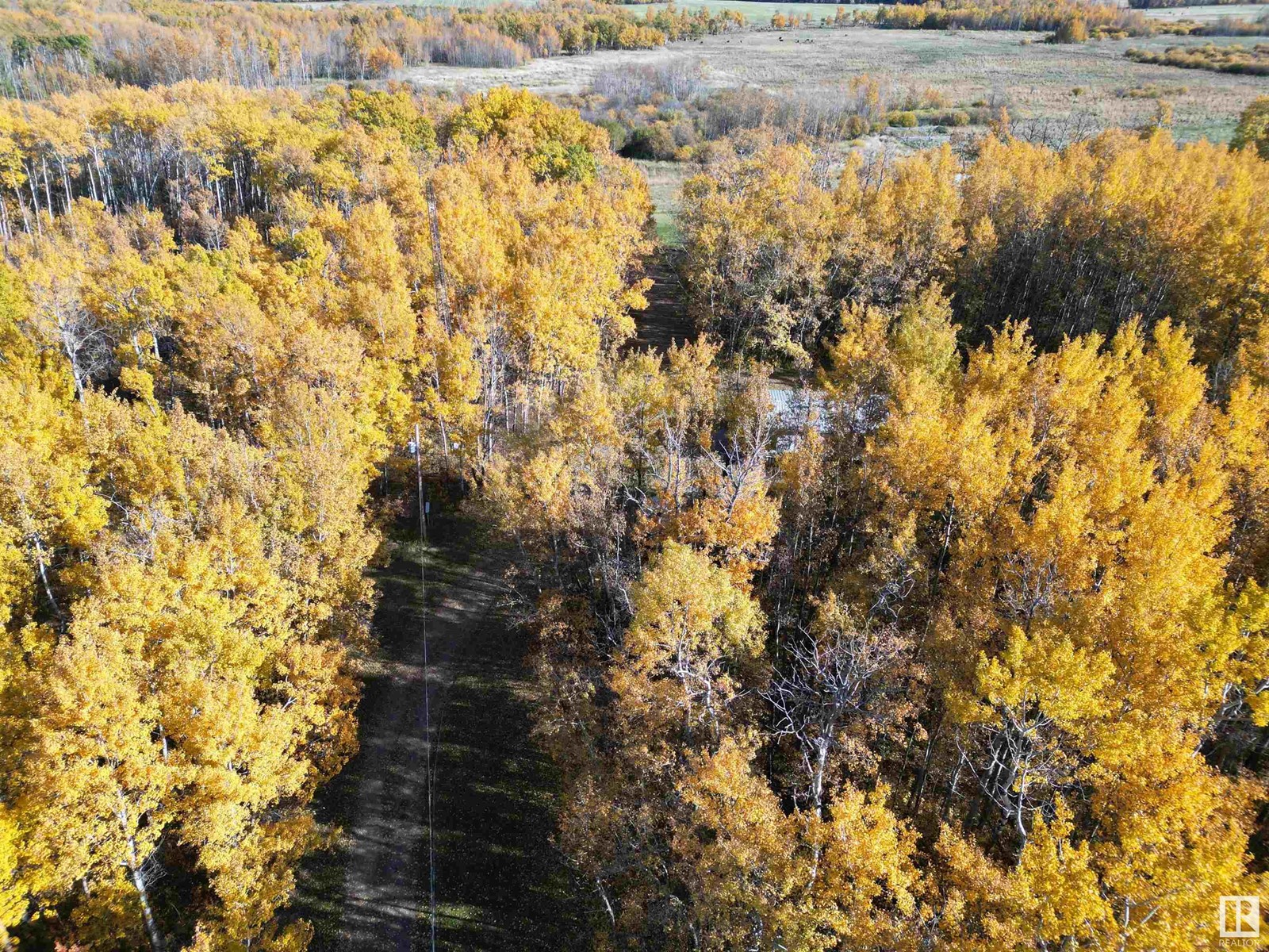 474025 Rr255, Rural Wetaskiwin County, Alberta  T0C 1Z0 - Photo 2 - E4410296