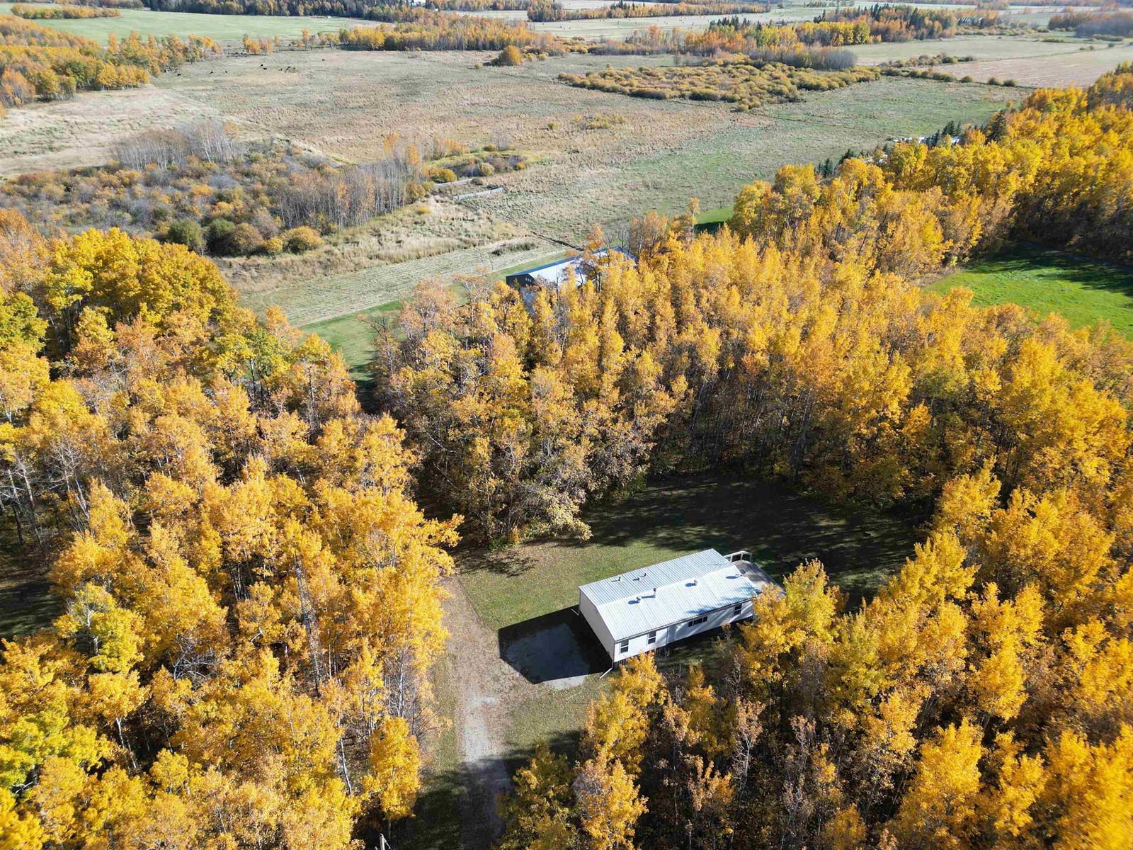 474025 Rr255, Rural Wetaskiwin County, Alberta  T0C 1Z0 - Photo 3 - E4410296