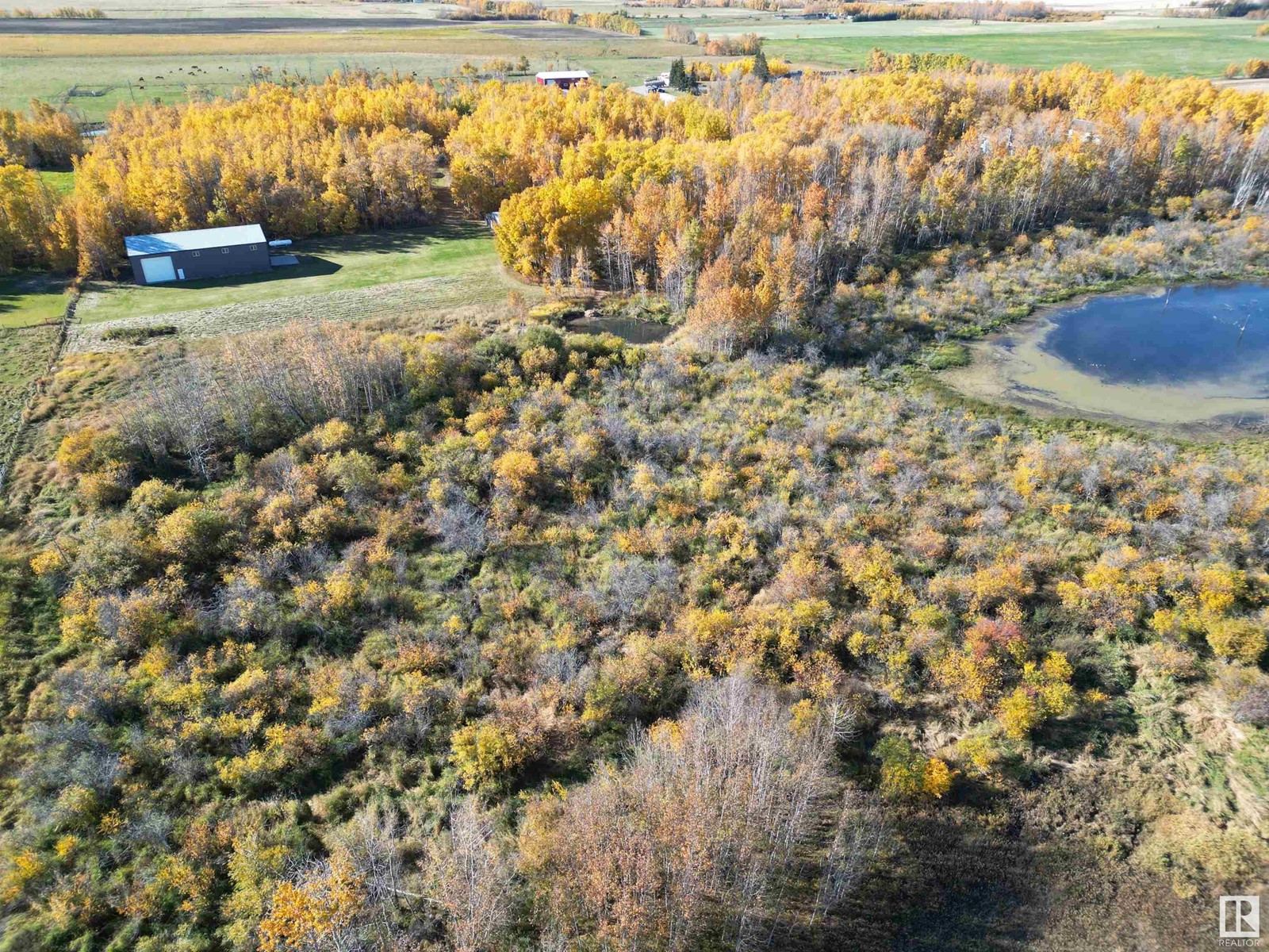 474025 Rr255, Rural Wetaskiwin County, Alberta  T0C 1Z0 - Photo 4 - E4410296