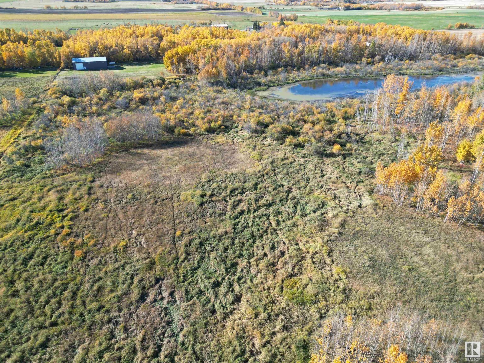 474025 Rr255, Rural Wetaskiwin County, Alberta  T0C 1Z0 - Photo 5 - E4410296