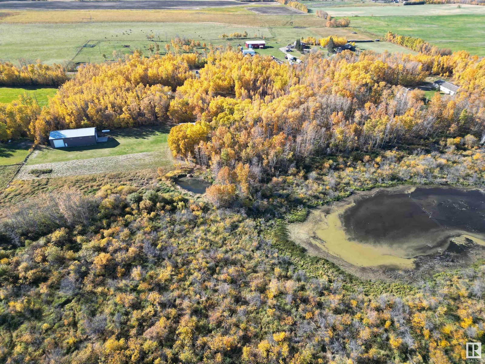 474025 Rr255, Rural Wetaskiwin County, Alberta  T0C 1Z0 - Photo 6 - E4410296