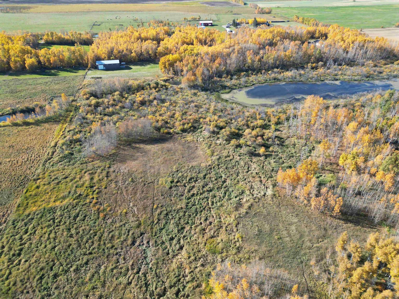 474025 Rr255, Rural Wetaskiwin County, Alberta  T0C 1Z0 - Photo 7 - E4410296