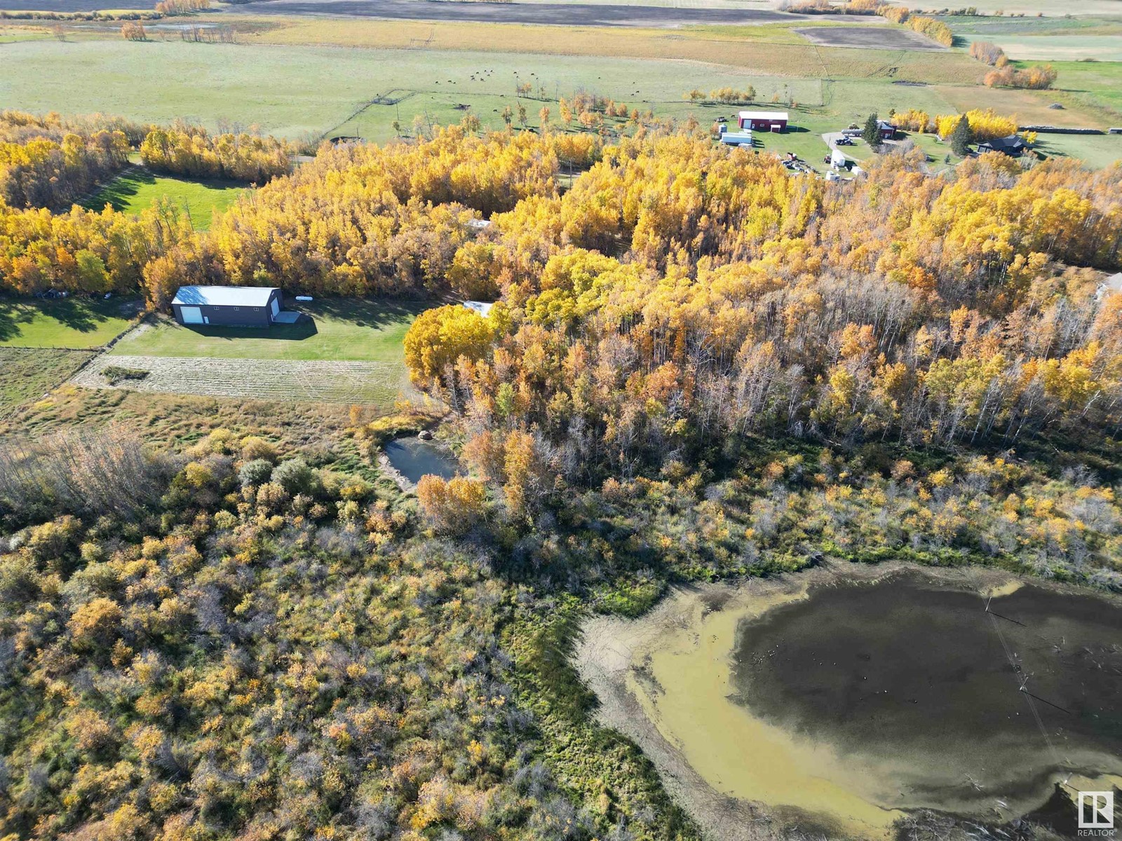 474025 Rr255, Rural Wetaskiwin County, Alberta  T0C 1Z0 - Photo 8 - E4410296