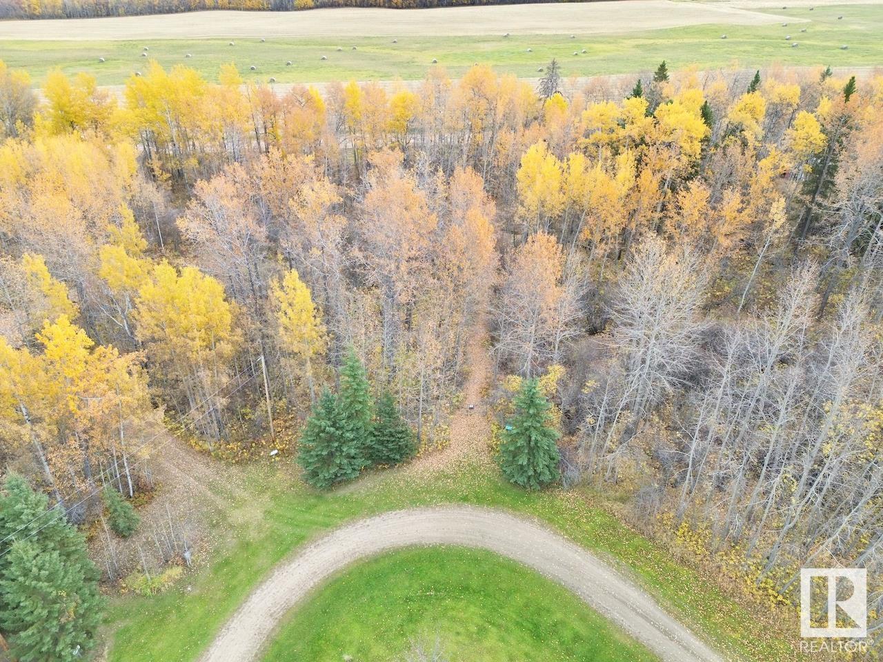 #16 461008 Rge Road 10, Rural Wetaskiwin County, Alberta  T0C 2V0 - Photo 5 - E4410422