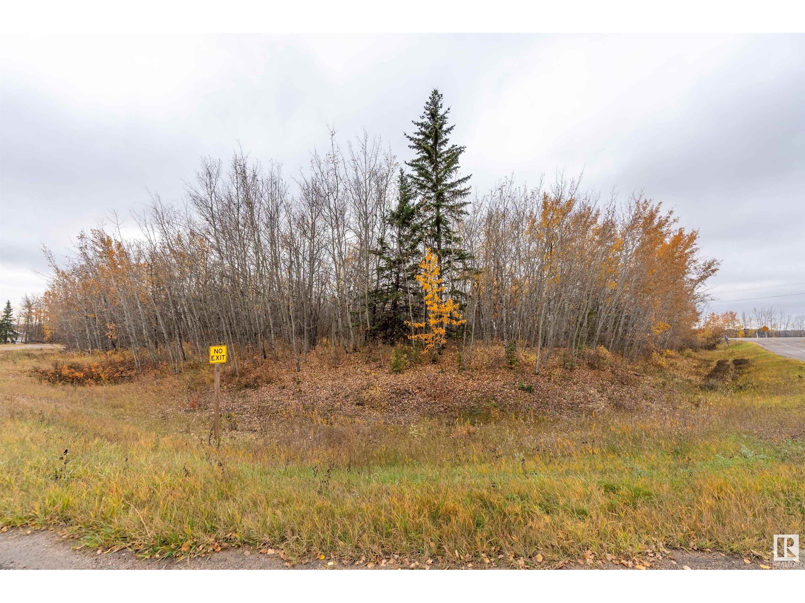 #100 55109 Hwy 777, Rural Lac Ste. Anne County, Alberta  T0E 1V0 - Photo 16 - E4410849