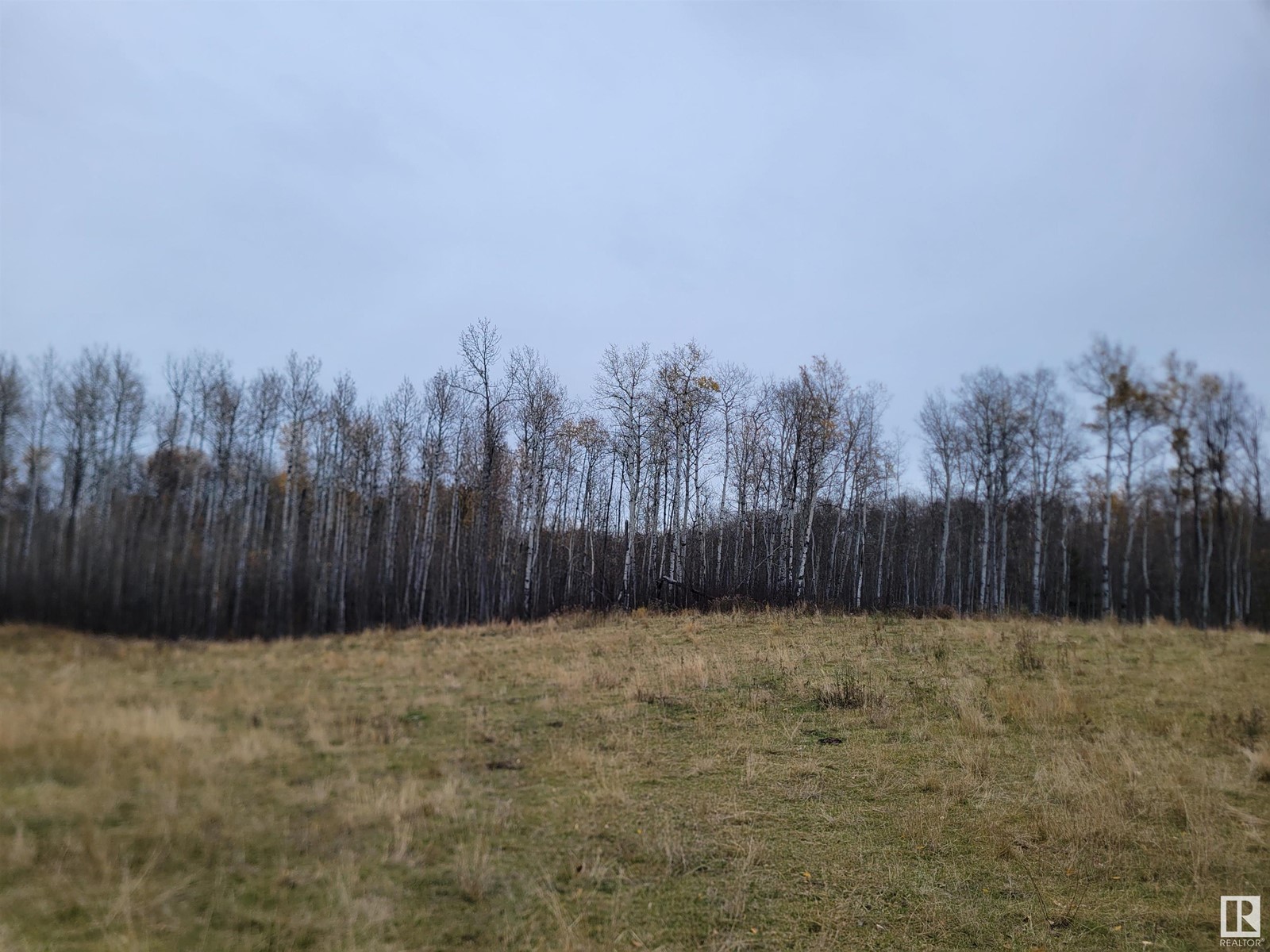 Range Road 30, Rural Lac Ste. Anne County, Alberta  T0E 1V0 - Photo 2 - E4411450