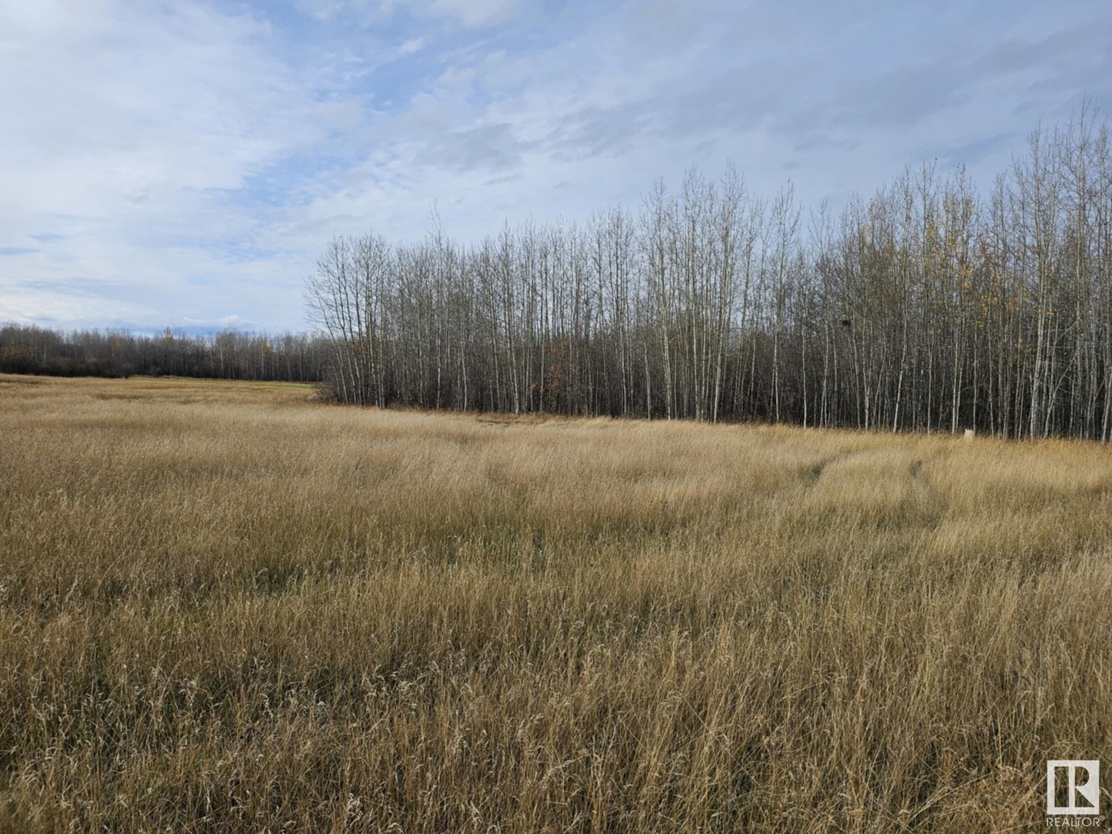 Ne 8-48-6-W5, Rural Brazeau County, Alberta  T0C 0S0 - Photo 2 - E4411519