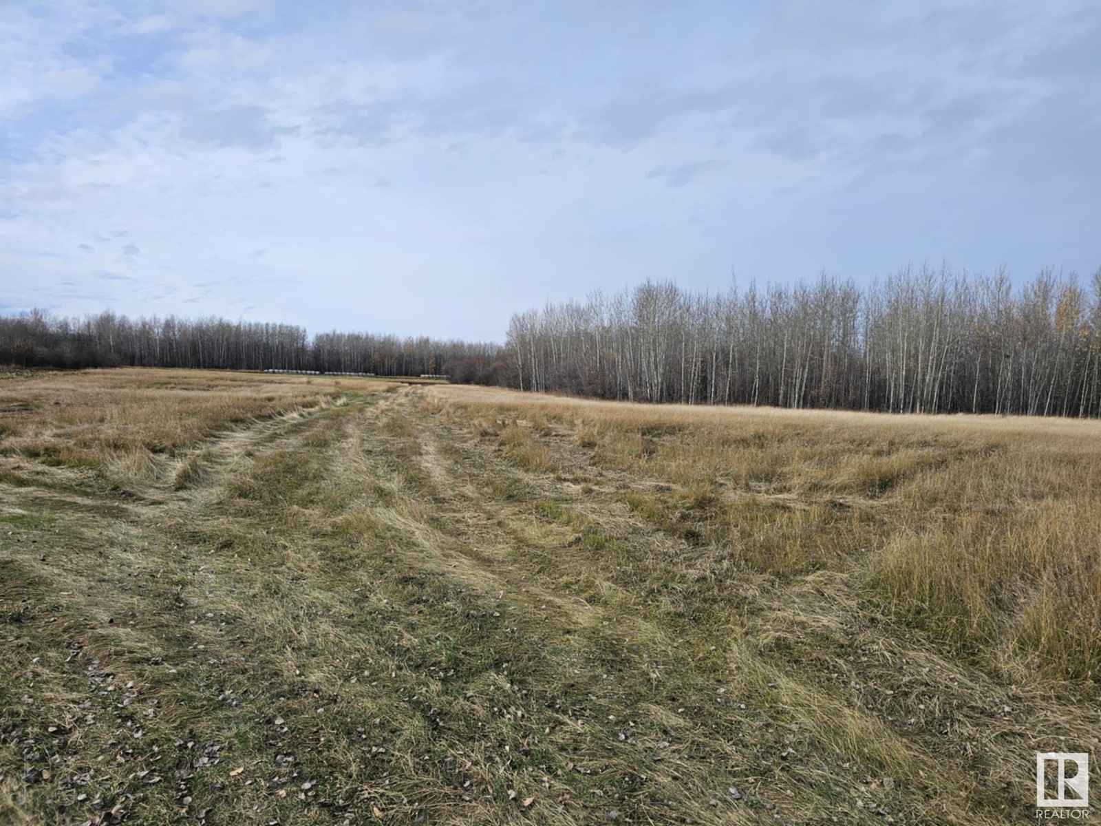 Ne 8-48-6-W5, Rural Brazeau County, Alberta  T0C 0S0 - Photo 5 - E4411519