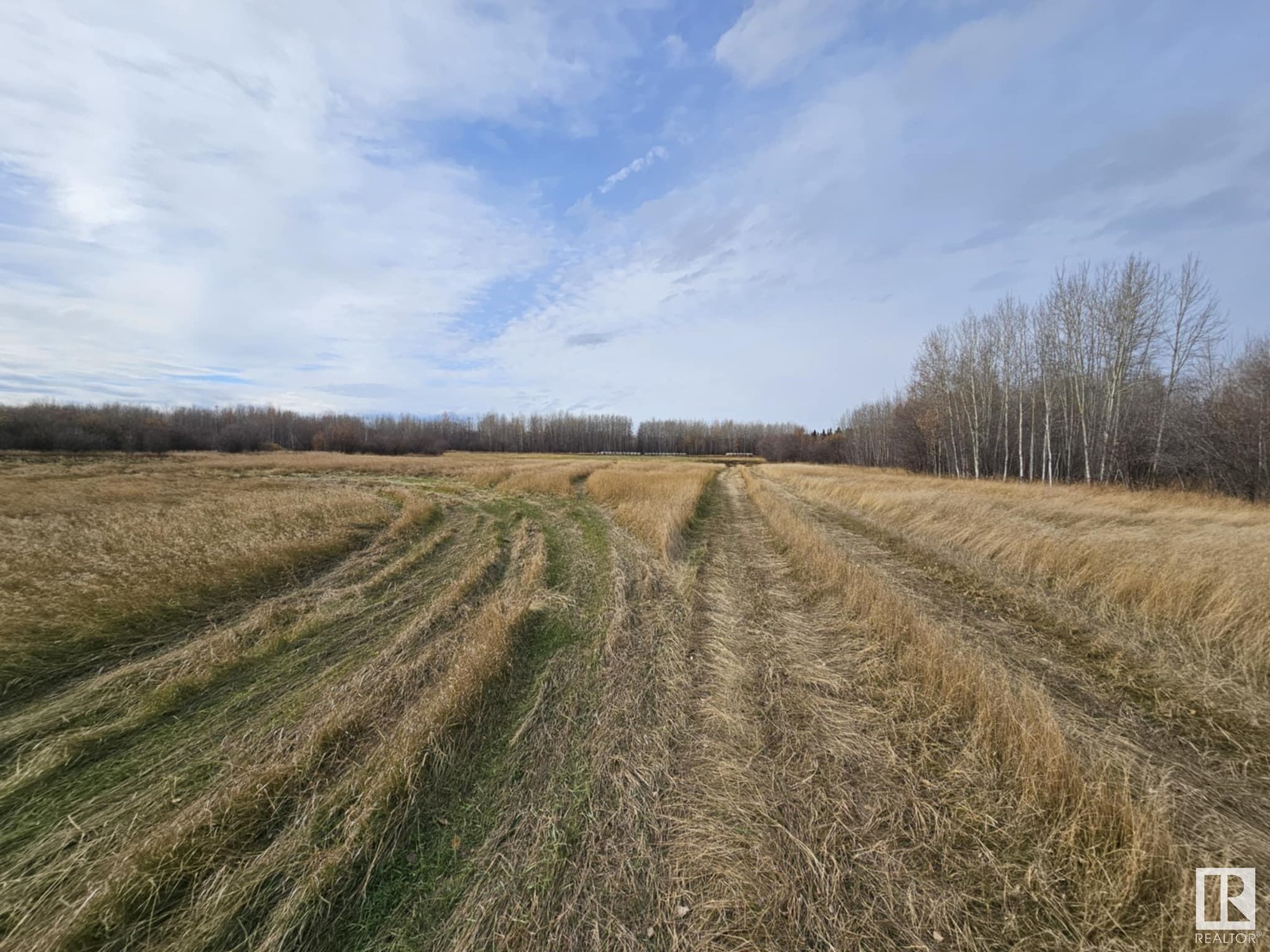 Ne 8-48-6-W5, Rural Brazeau County, Alberta  T0C 0S0 - Photo 6 - E4411519