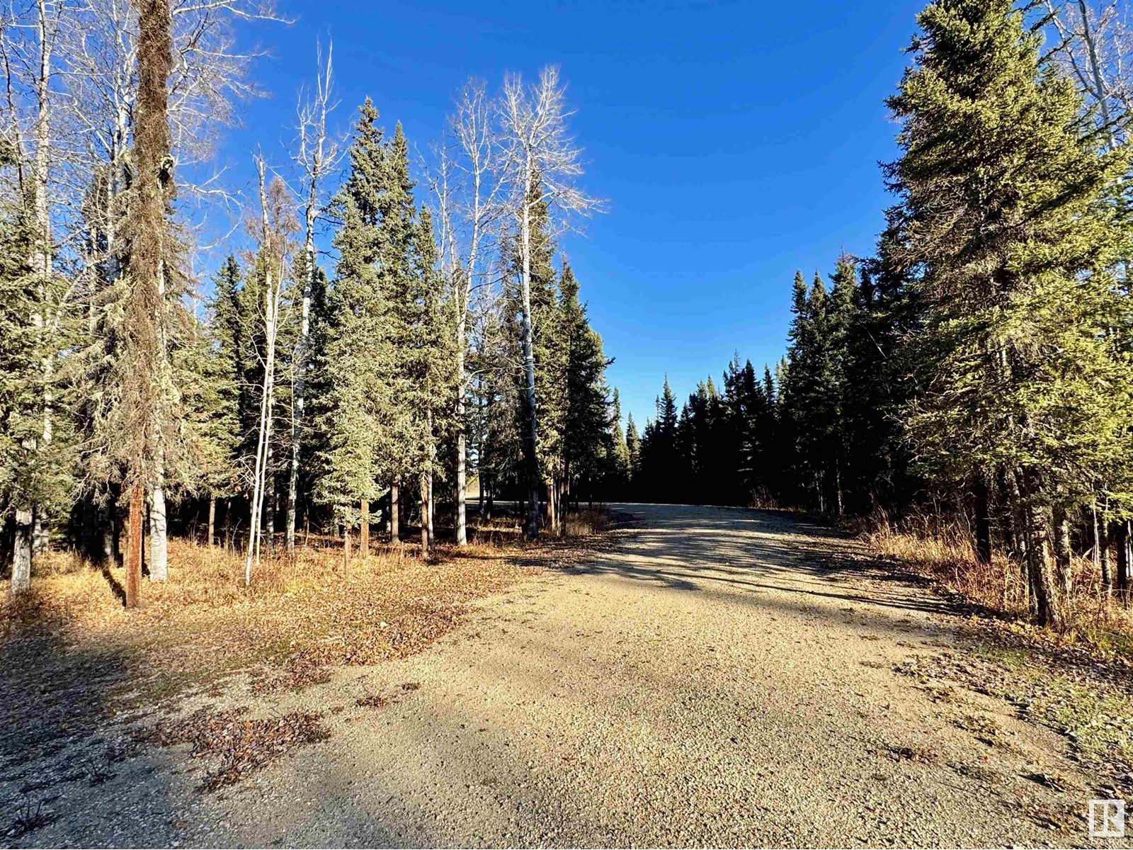 8402 Township 503, Rural Brazeau County, Alberta  T7A 2A3 - Photo 36 - E4411730