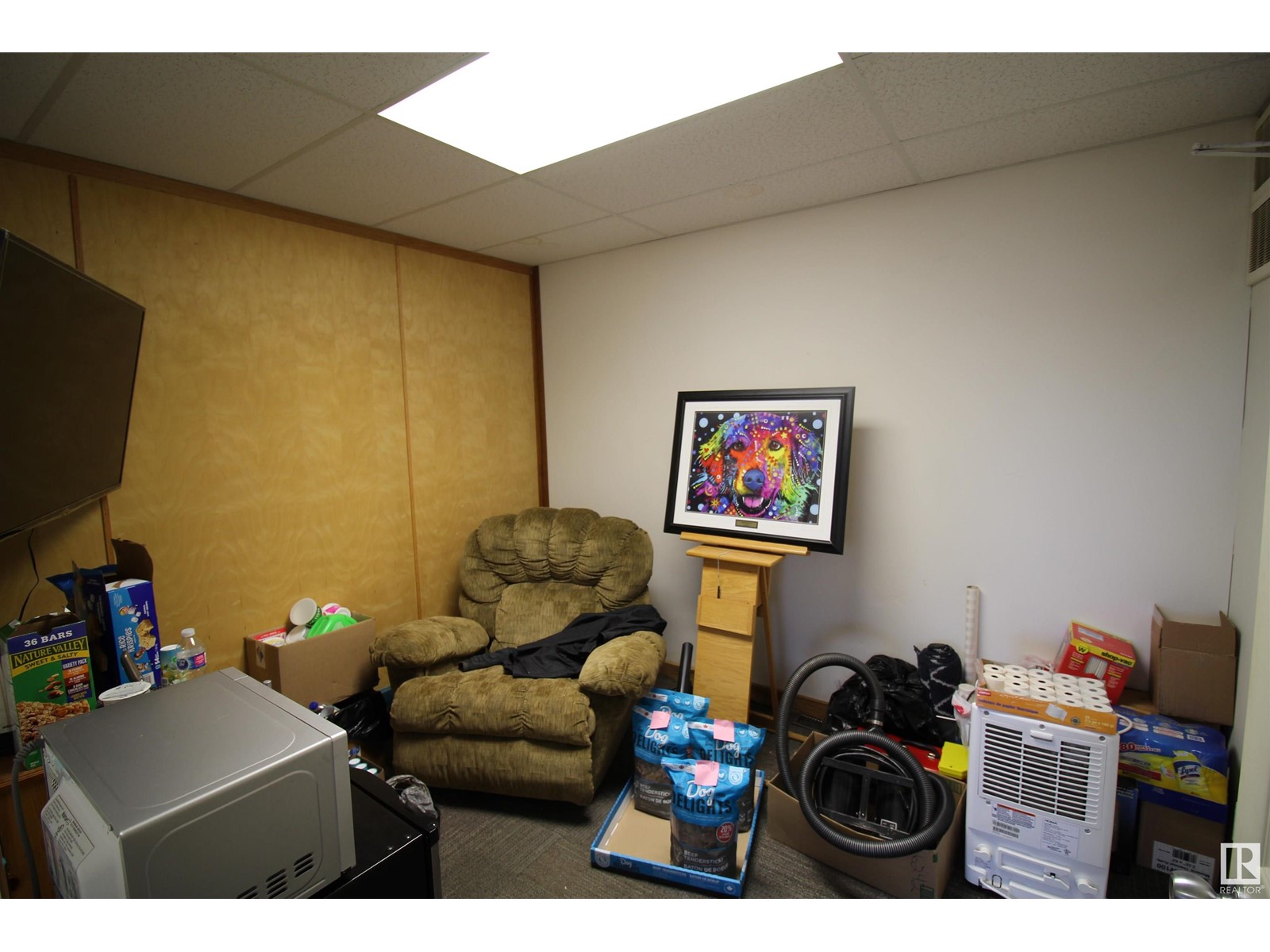 4915 52 St, Mayerthorpe, Alberta  T0E 1N0 - Photo 12 - E4412029