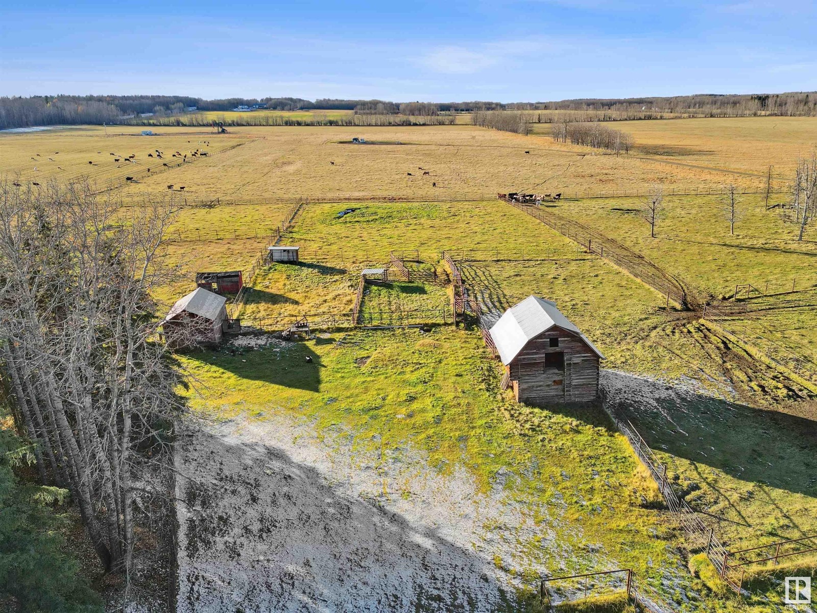 48224 Range Road 81, Rural Brazeau County, Alberta  T0E 1Z0 - Photo 10 - E4412286