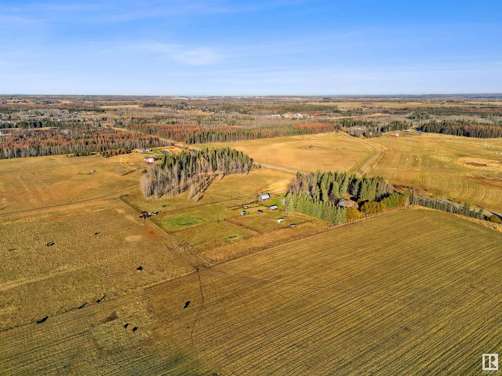 48224 Range Road 81, Rural Brazeau County, Alberta  T0E 1Z0 - Photo 14 - E4412286