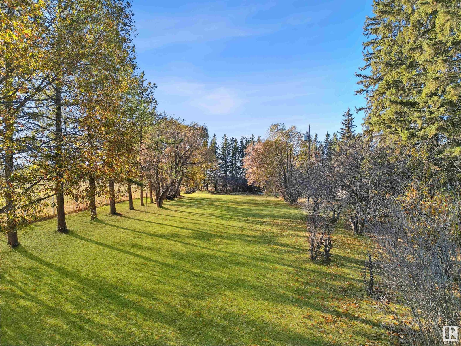 48224 Range Road 81, Rural Brazeau County, Alberta  T0E 1Z0 - Photo 6 - E4412286