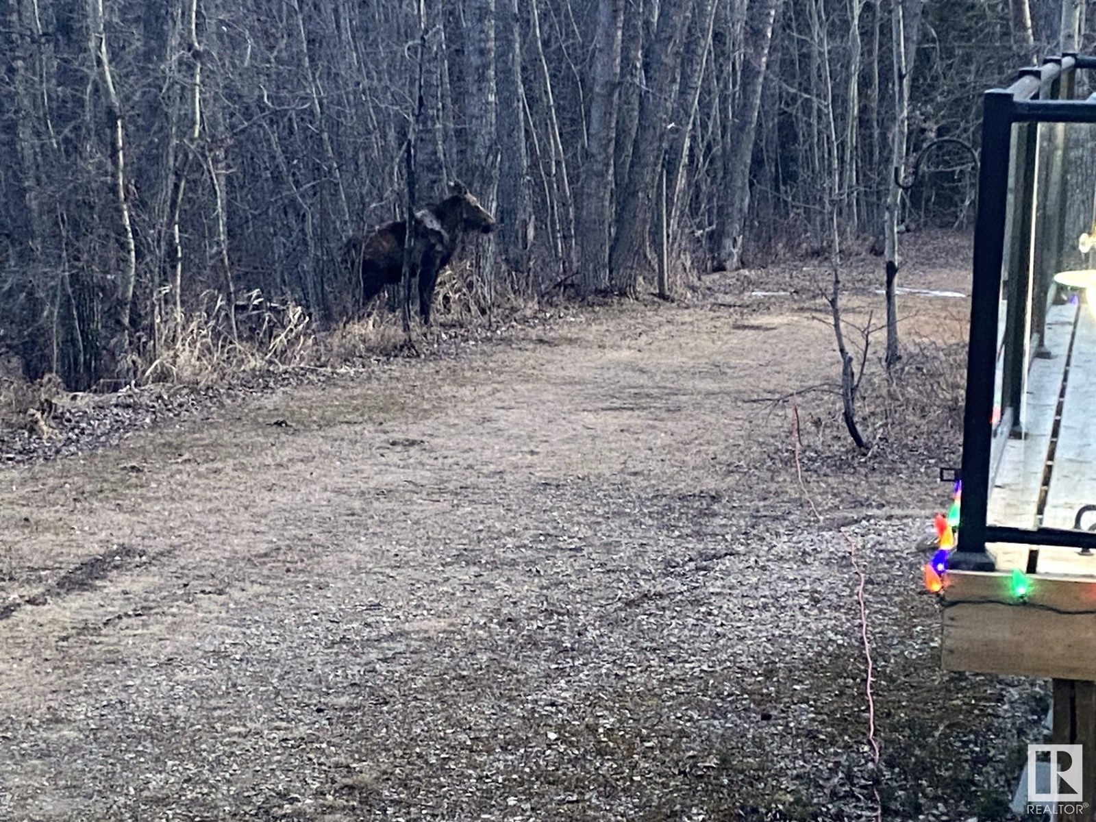 53302 Rrd 65, Rural Parkland County, Alberta  T0E 0S0 - Photo 61 - E4412472