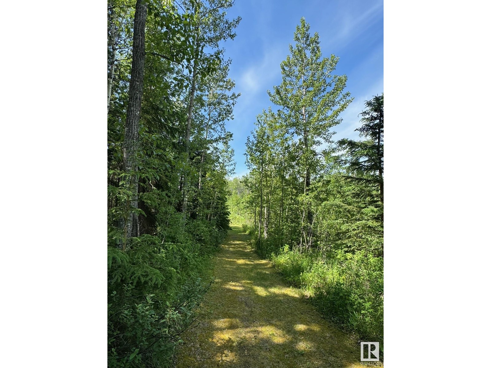 53302 Rrd 65, Rural Parkland County, Alberta  T0E 0S0 - Photo 9 - E4412472