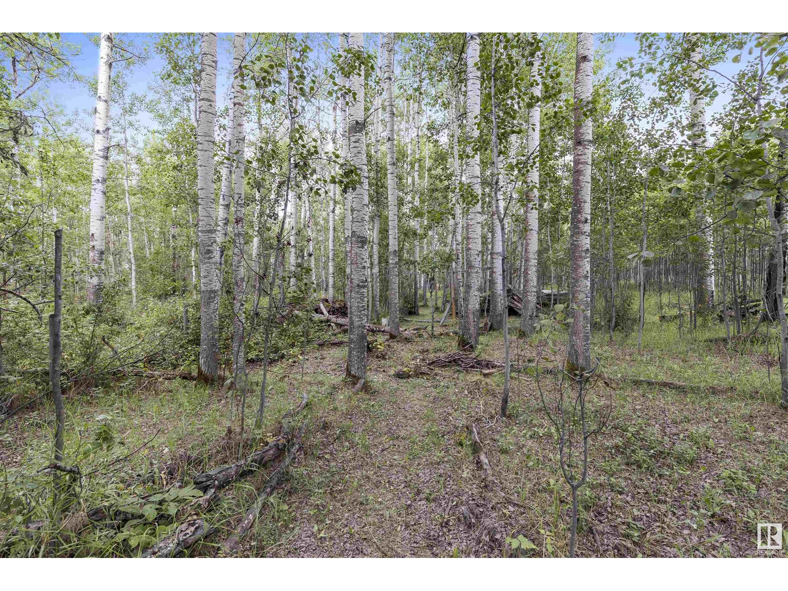 #406 54411 Rge Rd 40, Rural Lac Ste. Anne County, Alberta  T0E 0A0 - Photo 25 - E4412627