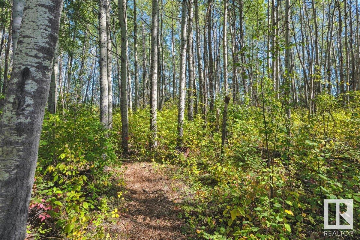 6219 Twp Rd 490, Rural Brazeau County, Alberta  T0E 1Z0 - Photo 42 - E4412644