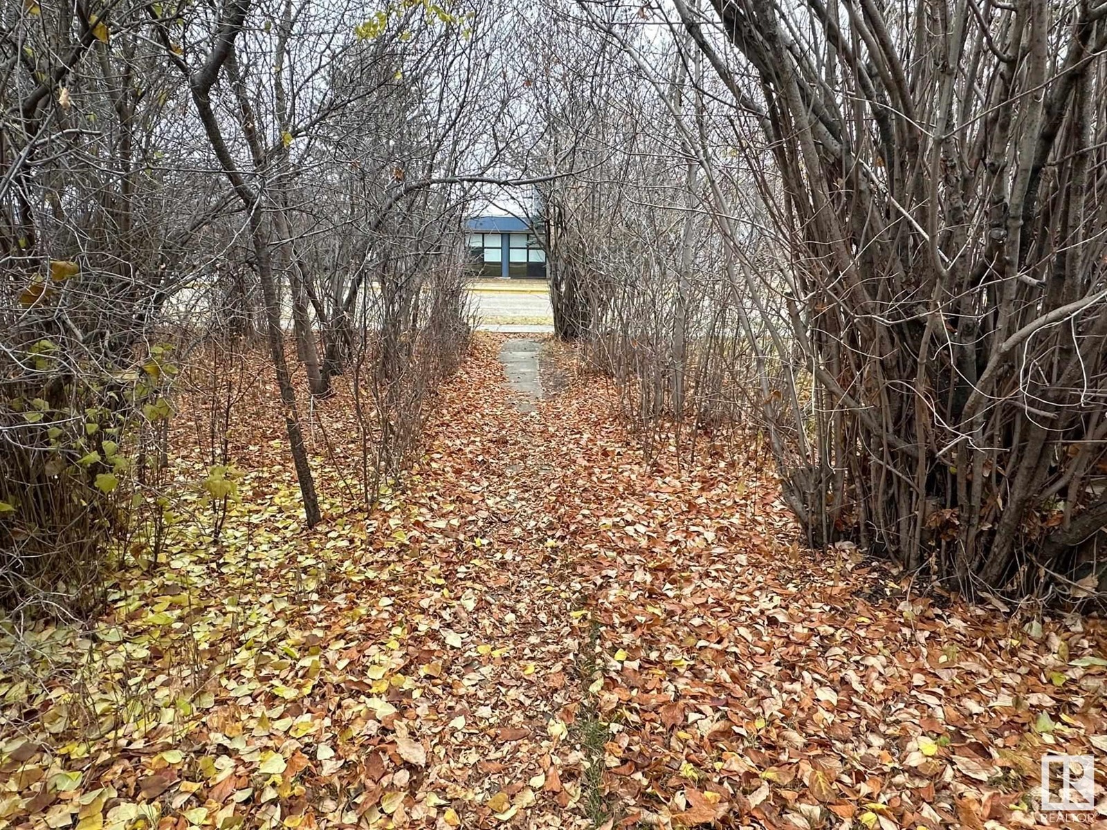 5007 54 Av, Warburg, Alberta  T0C 2T0 - Photo 68 - E4412650