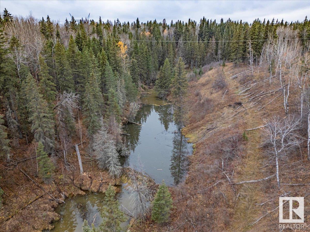 51165 Rge Rd 30, Rural Leduc County, Alberta  T0C 2T0 - Photo 29 - E4413049