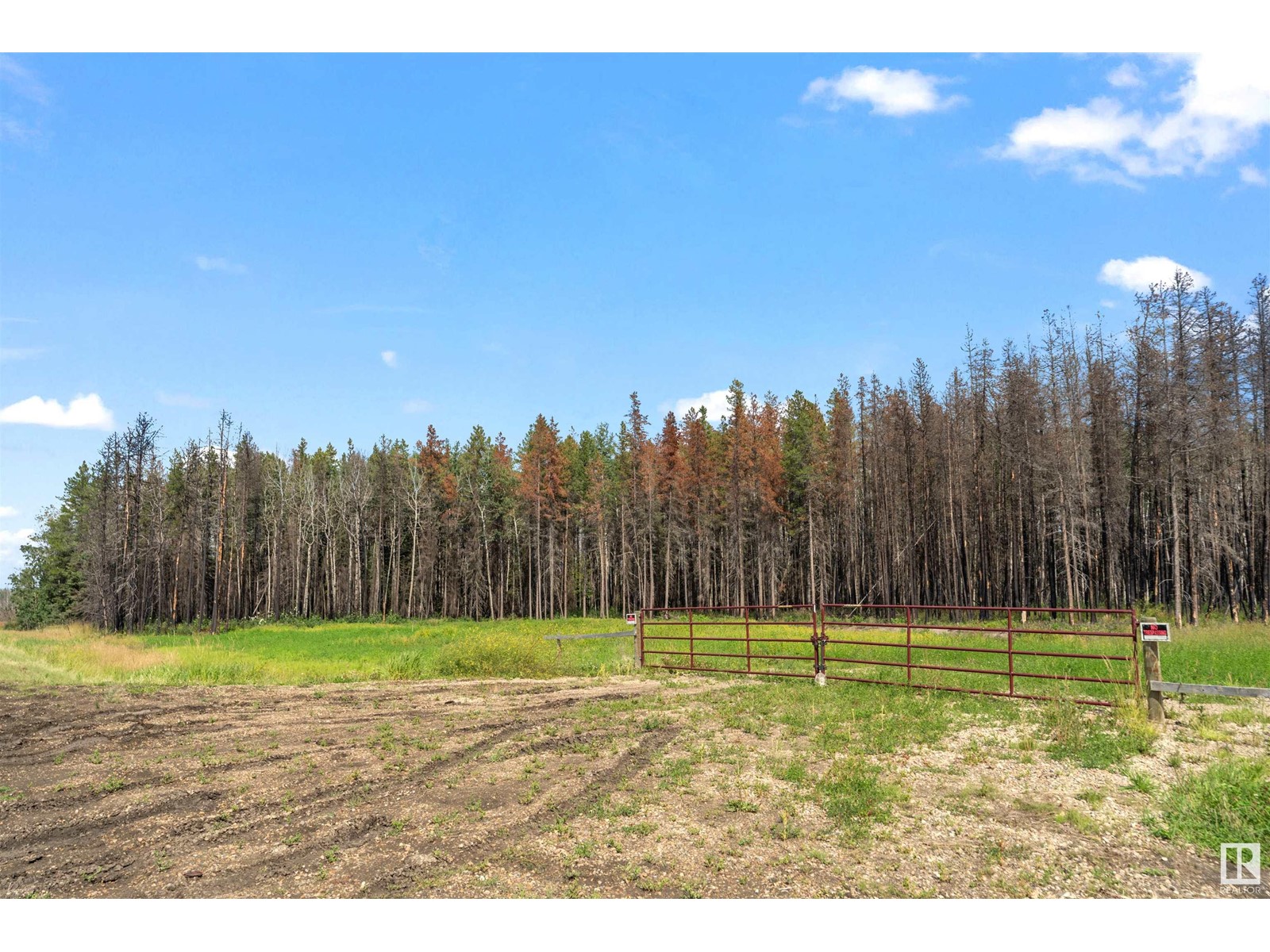 Twp 535 Rrd 91, Rural Yellowhead, Alberta  T0E 0T0 - Photo 4 - E4413219