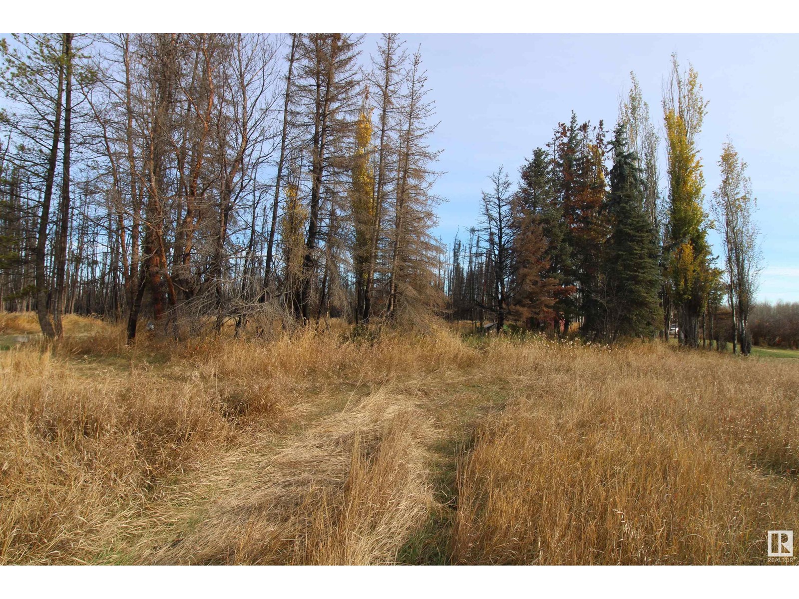 70 9002, Rural Yellowhead, Alberta  T0E 2M0 - Photo 18 - E4413330