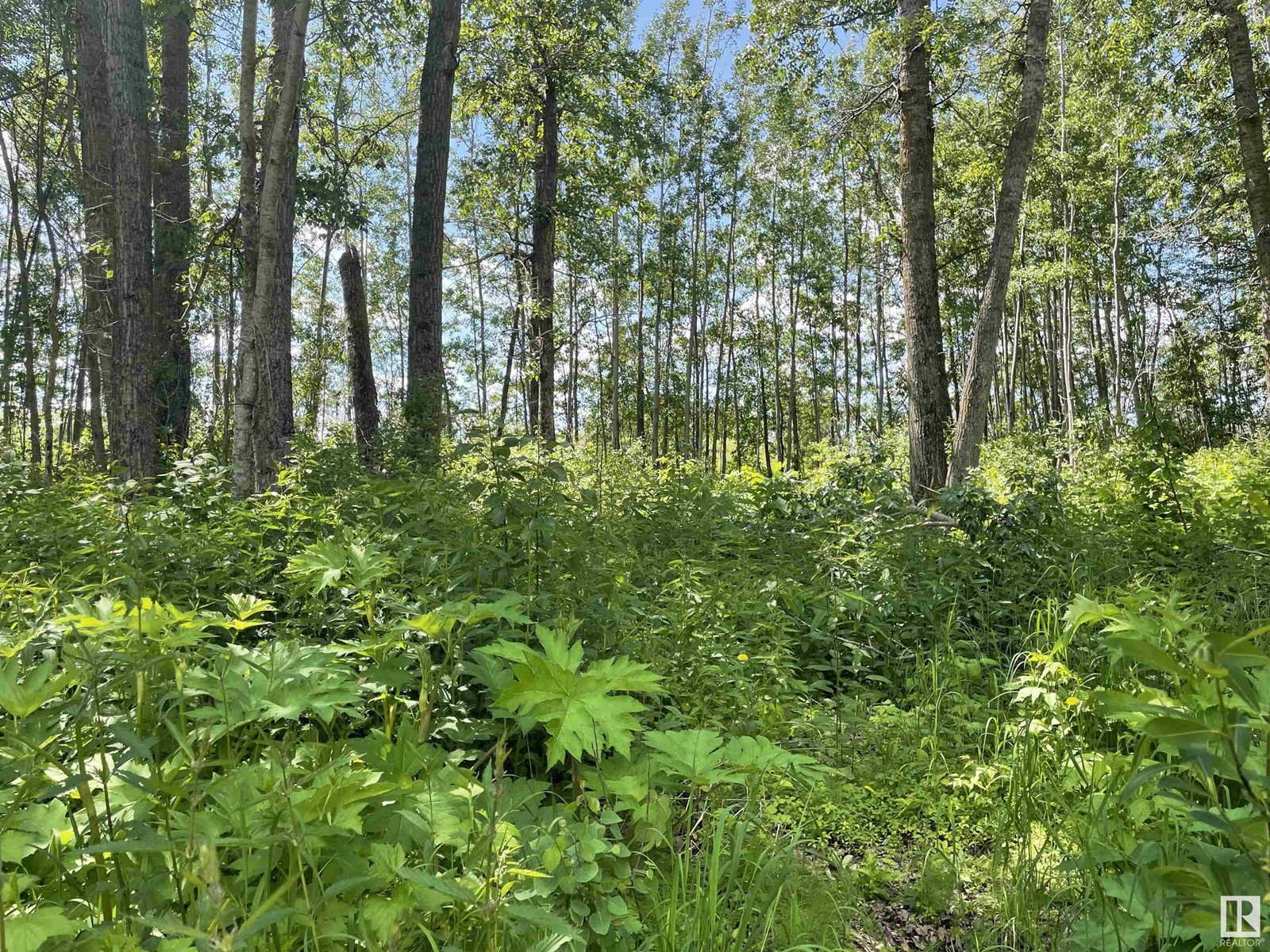 Twp 553b Range Road 34a Nw, Rural Lac Ste. Anne County, Alberta  T0E 1V0 - Photo 10 - E4413784