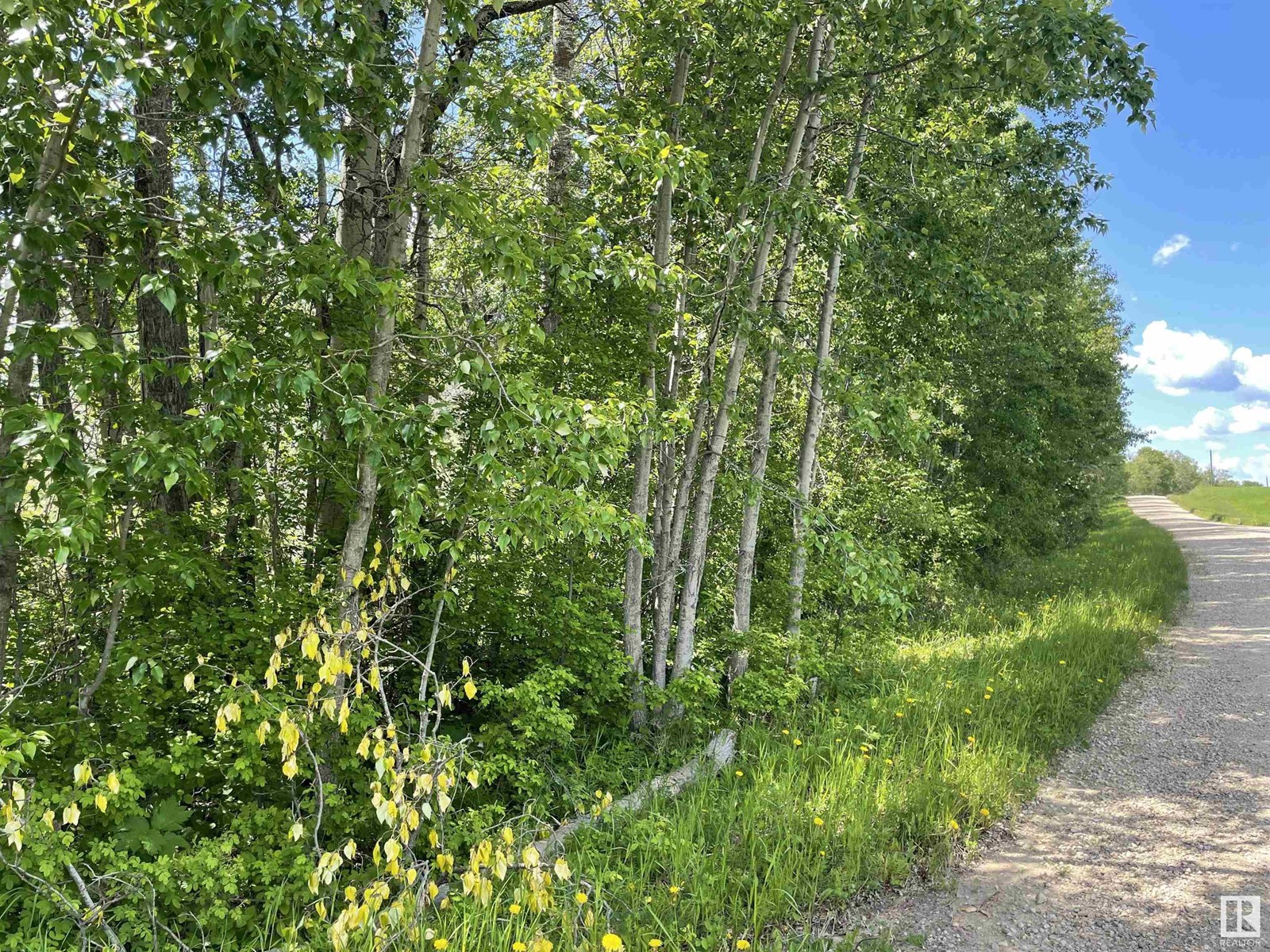 Twp 553b Range Road 34a Nw, Rural Lac Ste. Anne County, Alberta  T0E 1V0 - Photo 5 - E4413784