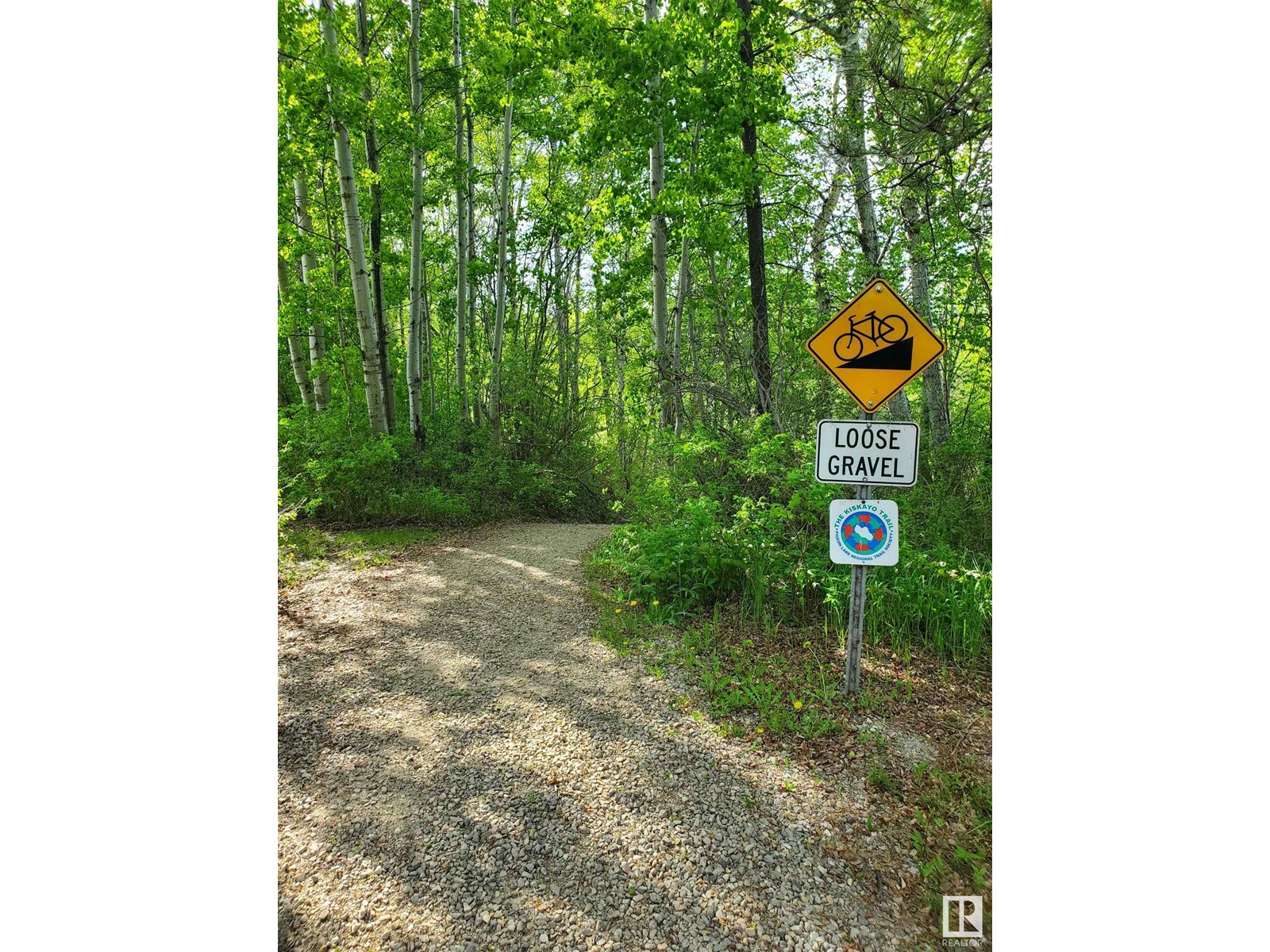 516 5 Norris Beach Pigeon Lake St, Rural Wetaskiwin County, Alberta  T0C 2V0 - Photo 17 - E4414555