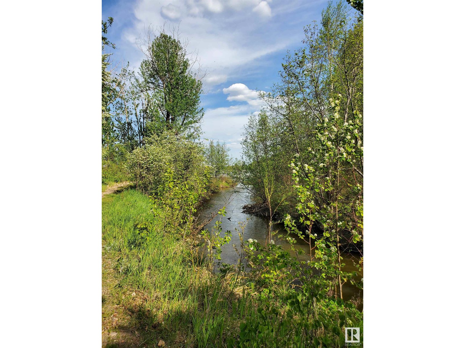 516 5 Norris Beach Pigeon Lake St, Rural Wetaskiwin County, Alberta  T0C 2V0 - Photo 19 - E4414555