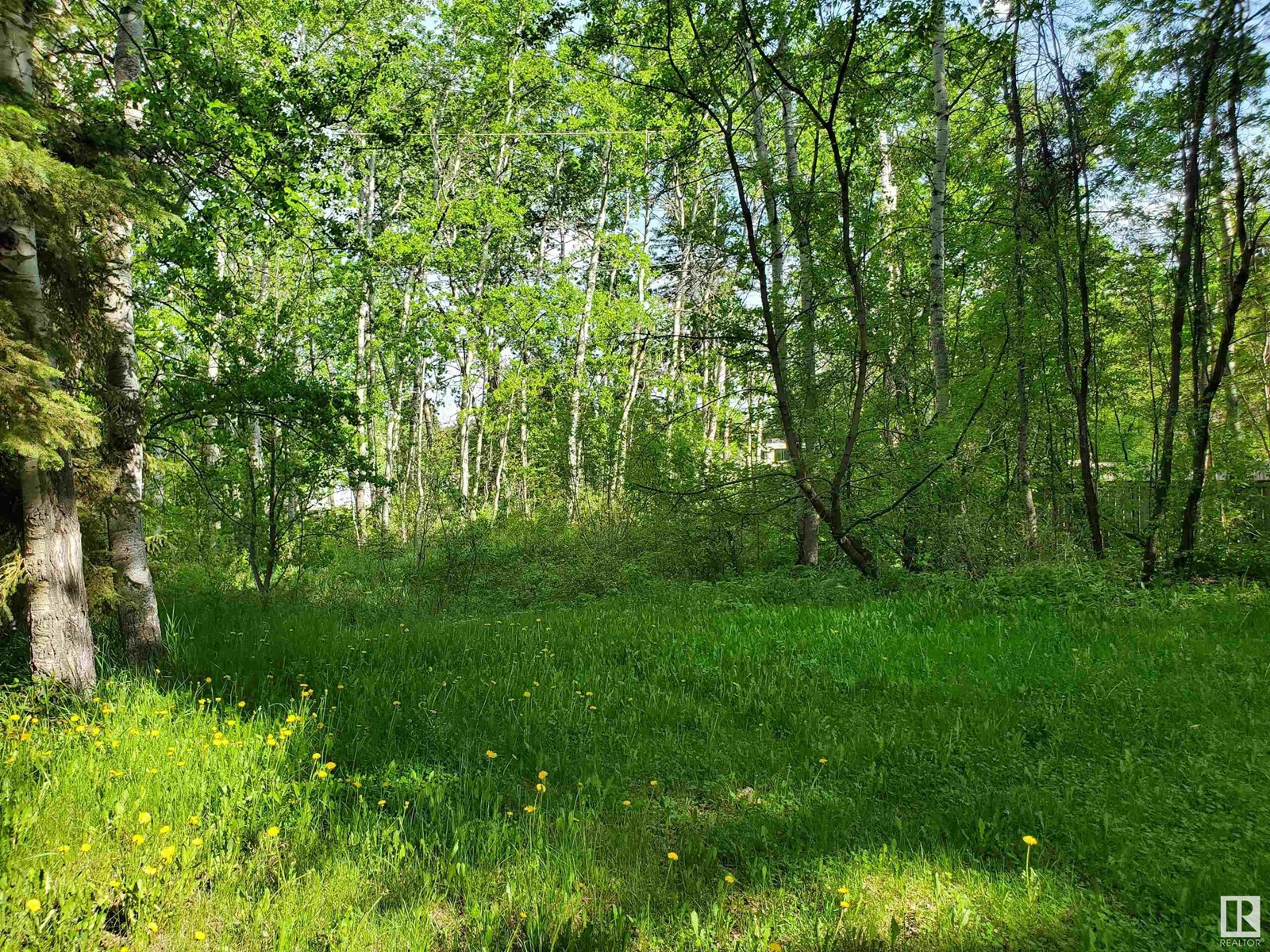 516 5 Norris Beach Pigeon Lake St, Rural Wetaskiwin County, Alberta  T0C 2V0 - Photo 3 - E4414555