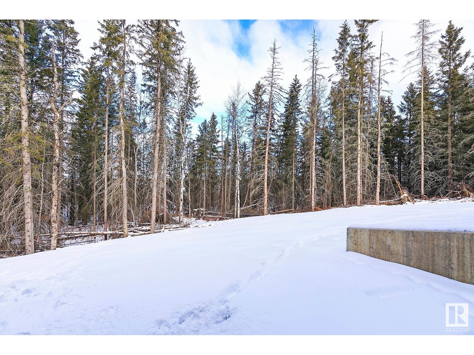 311 55504 Rr 13, Rural Lac Ste. Anne County, Alberta  T0E 1V0 - Photo 49 - E4415051