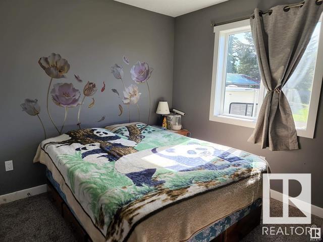 4908 50 St, Peers, Alberta  T0E 1W0 - Photo 17 - E4415656