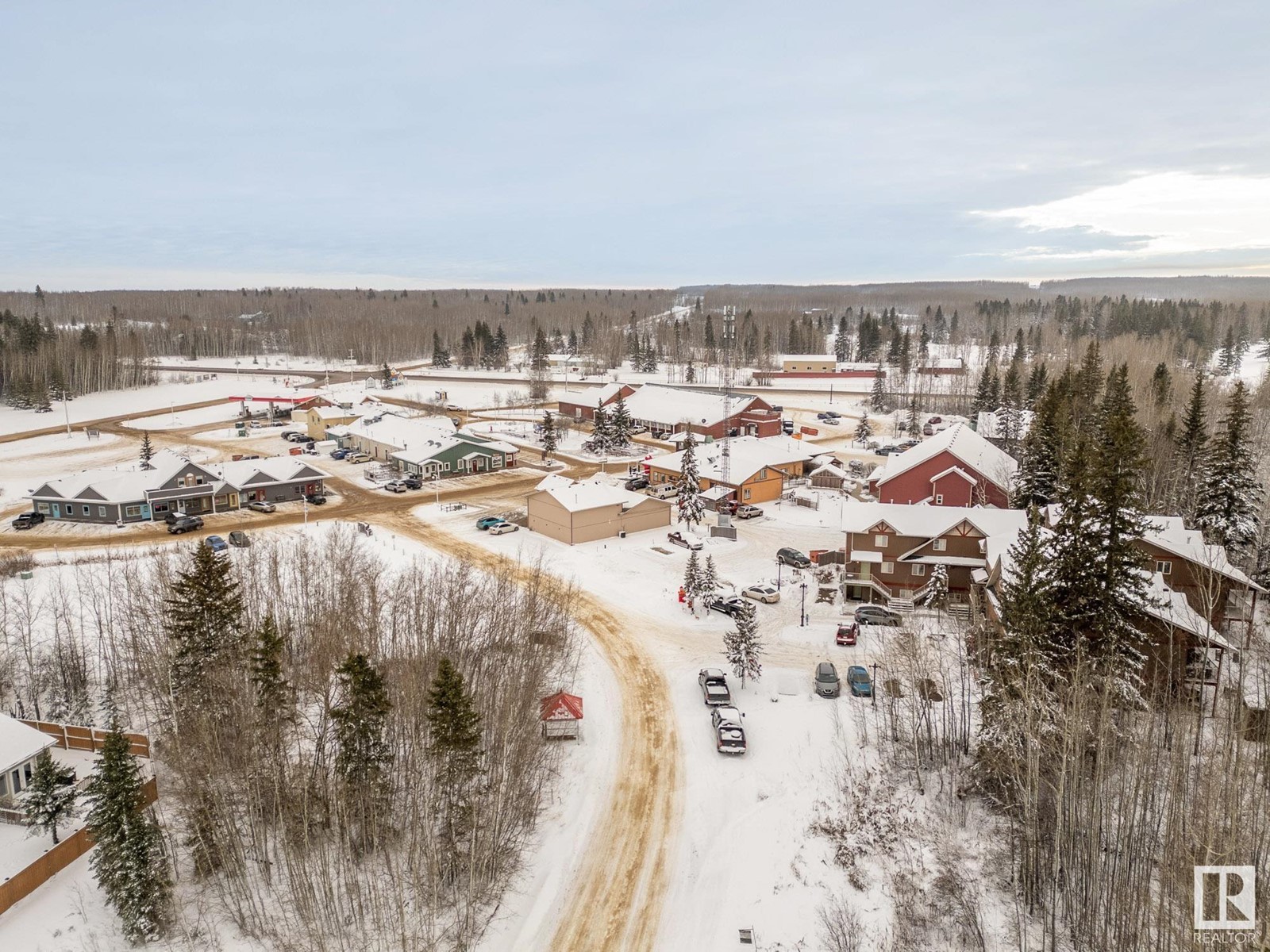 114 Heron Point Cl, Rural Wetaskiwin County, Alberta  T0C 2V0 - Photo 50 - E4416080