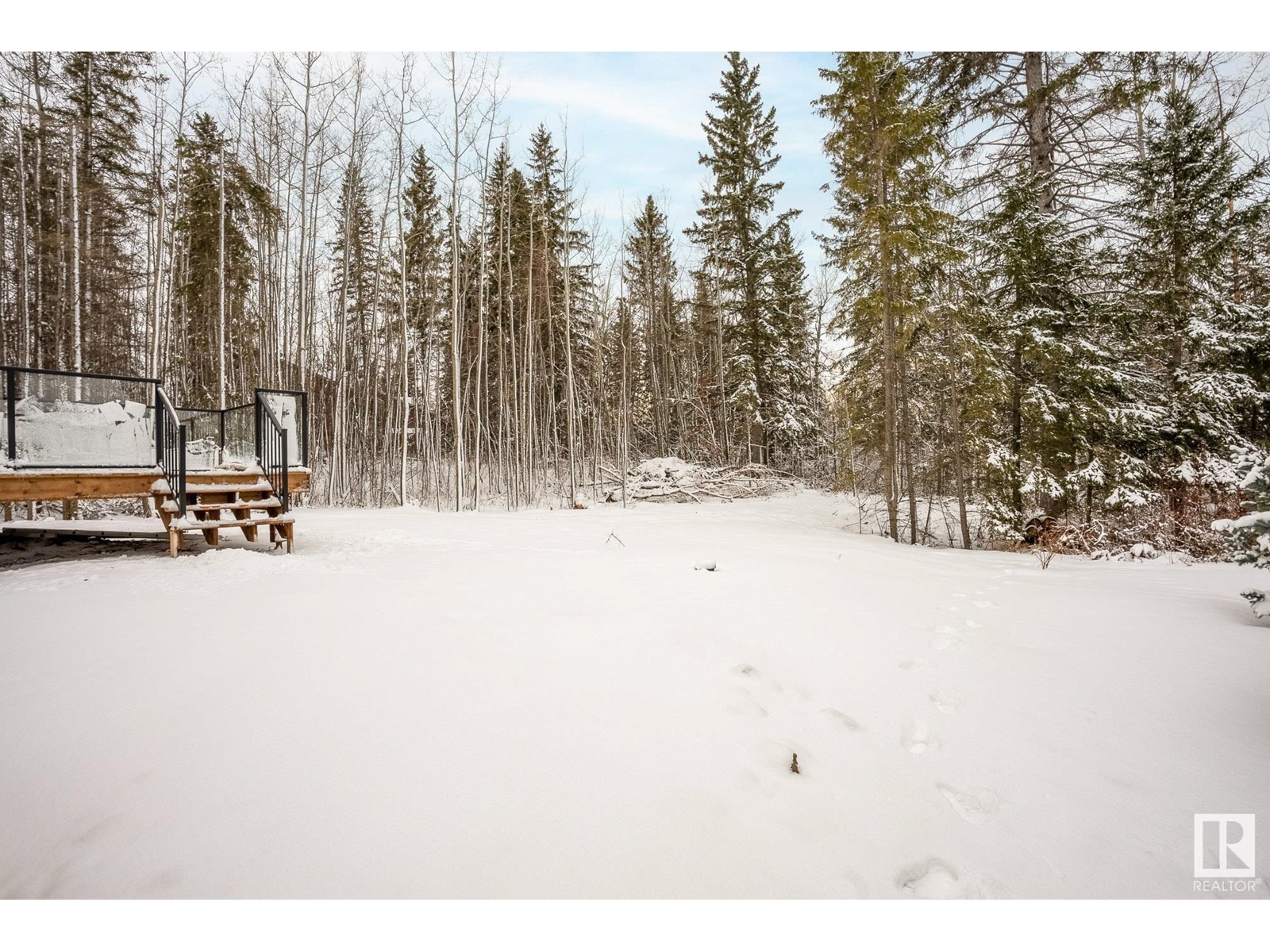 114 Heron Point Cl, Rural Wetaskiwin County, Alberta  T0C 2V0 - Photo 7 - E4416080