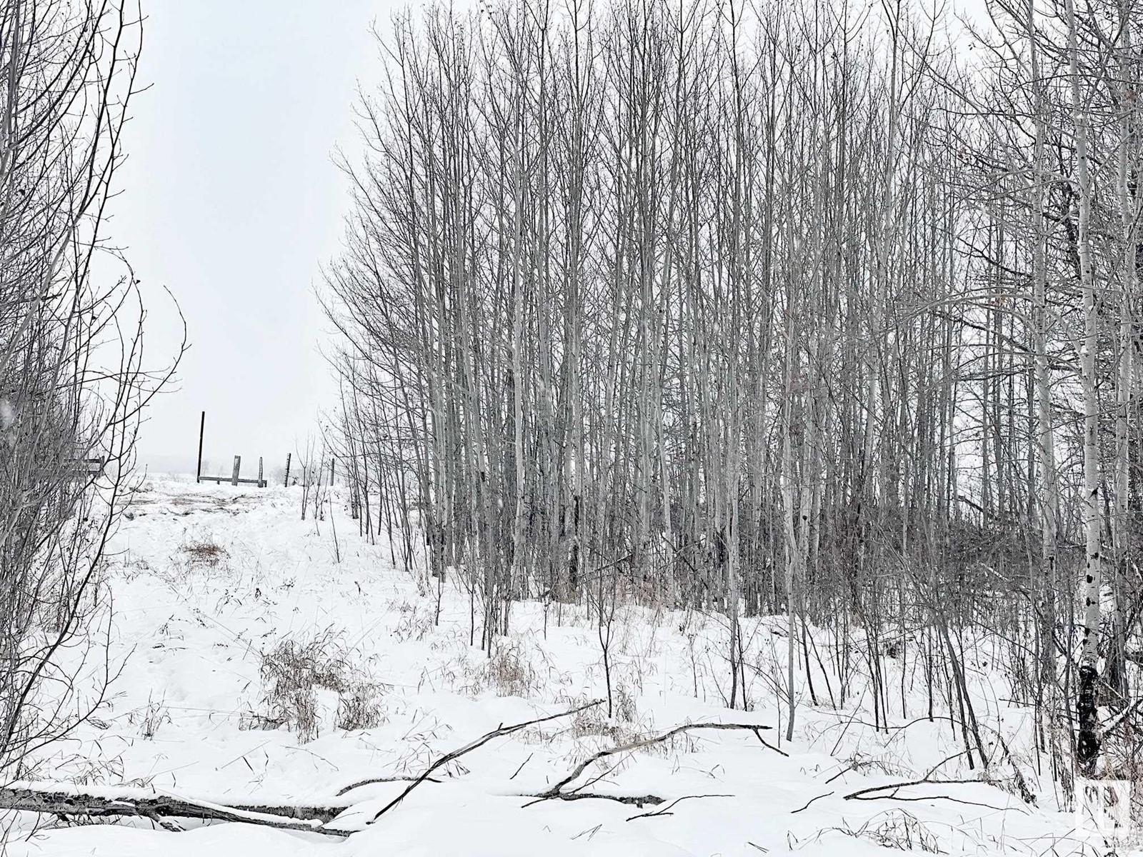 58013 Rge Rd 81, Rural Lac Ste. Anne County, Alberta  T0E 1N0 - Photo 15 - E4416203