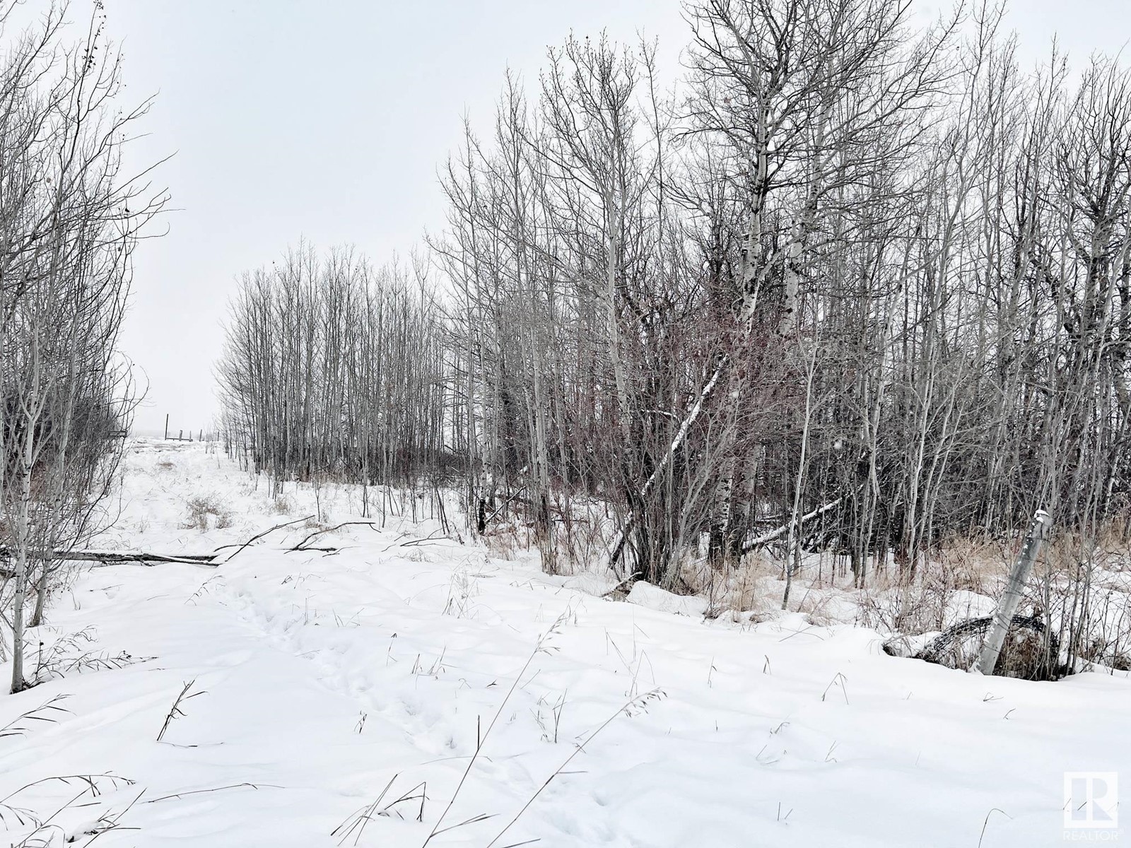 58013 Rge Rd 81, Rural Lac Ste. Anne County, Alberta  T0E 1N0 - Photo 16 - E4416203