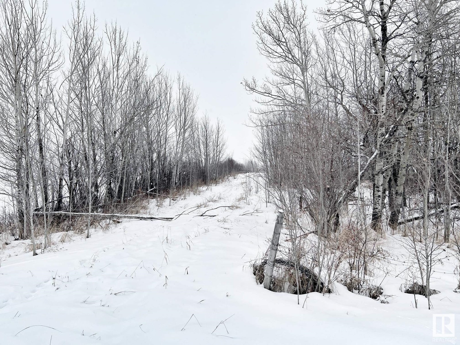 58013 Rge Rd 81, Rural Lac Ste. Anne County, Alberta  T0E 1N0 - Photo 17 - E4416203