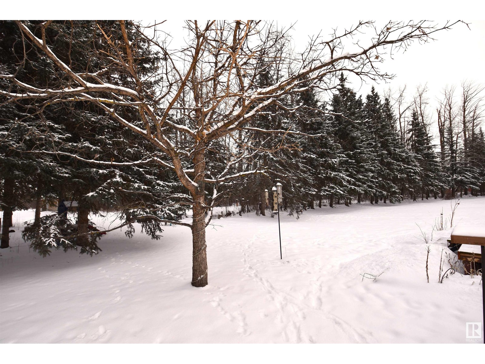 55103 Rge Road 25, Rural Lac Ste. Anne County, Alberta  T0E 1V0 - Photo 60 - E4417186