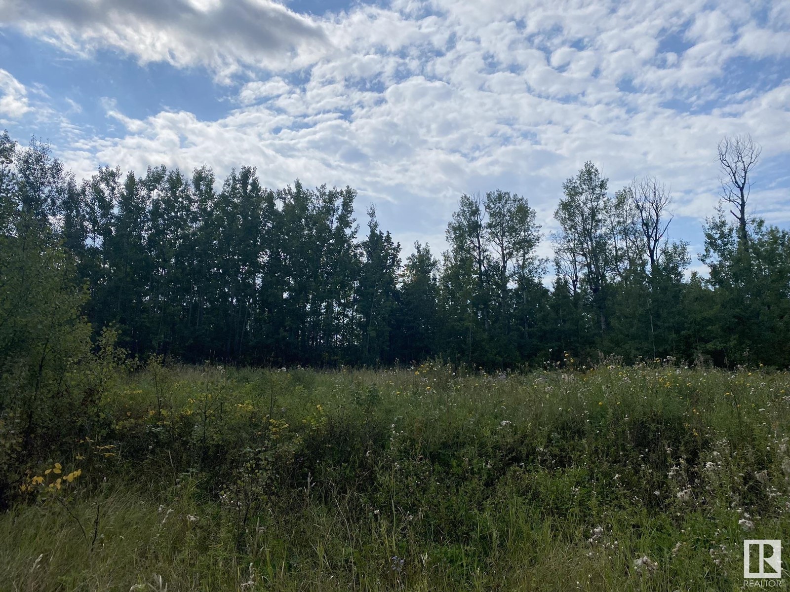 52229 Rge Road 25, Rural Parkland County, Alberta  T0E 0H0 - Photo 12 - E4417660