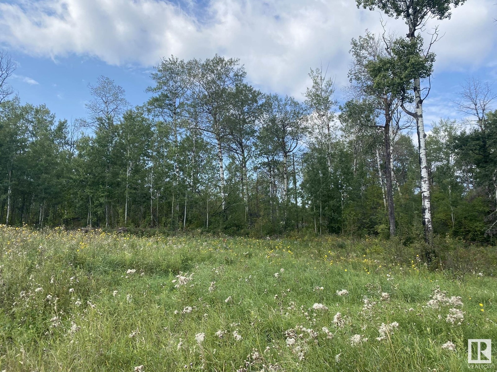 52229 Rge Road 25, Rural Parkland County, Alberta  T0E 0H0 - Photo 9 - E4417660