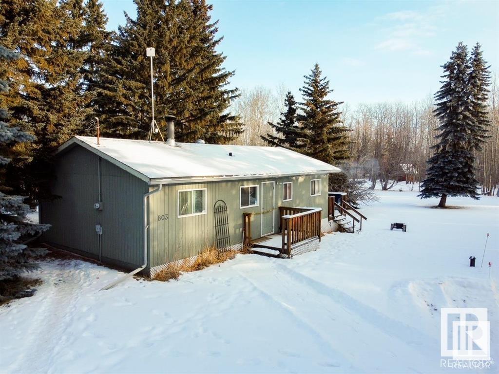 803 Marine Dr, Rural Wetaskiwin County, Alberta  T0C 2V0 - Photo 9 - E4418058