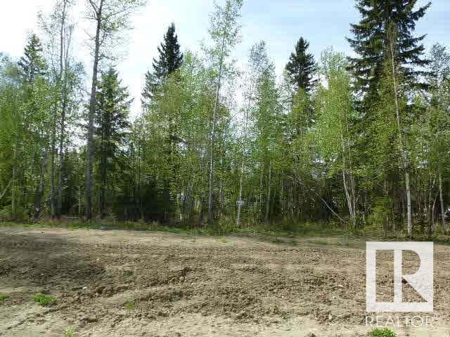 11 Fraser Dr, Breton, Alberta  T0C 0P0 - Photo 4 - E4418881