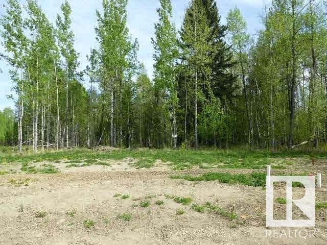 16 Fraser Dr, Breton, Alberta  T0C 0P0 - Photo 3 - E4418882