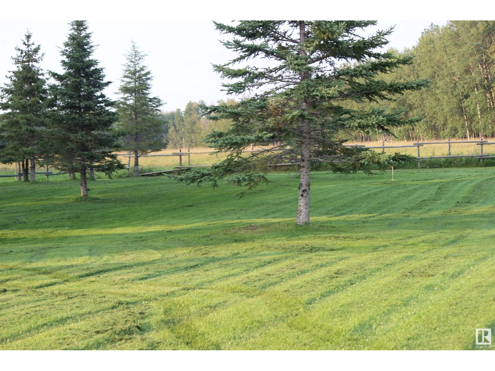 15 55062 Twp Rd 462, Rural Wetaskiwin County, Alberta  T0C 0T0 - Photo 10 - E4419192