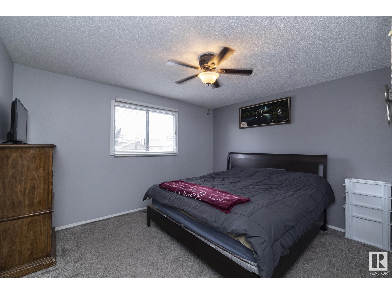 5214 52 St, Calmar, Alberta  T0C 0V0 - Photo 19 - E4419208